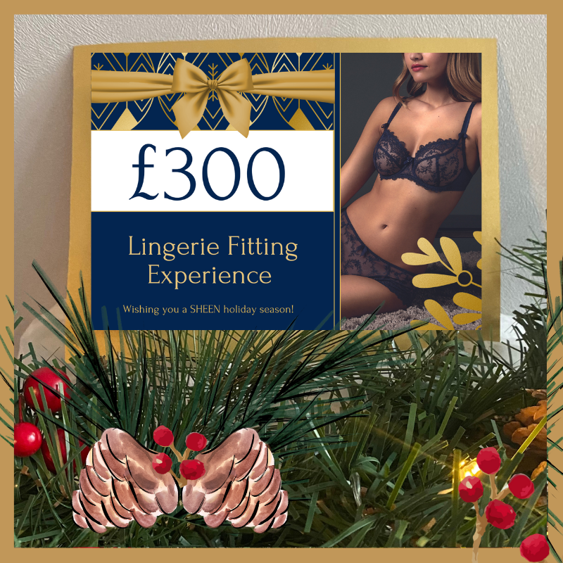 The Ultimate Christmas Gift: £300 Lingerie Fitting Experience