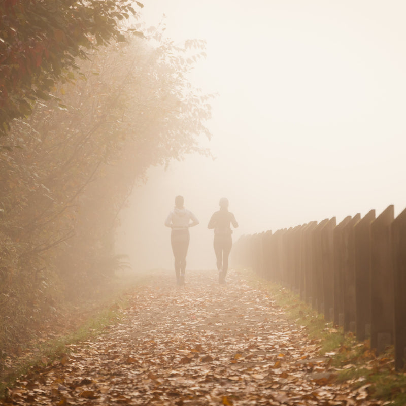 Park Walks and Meaningful Talks - the Power of Female Friendship