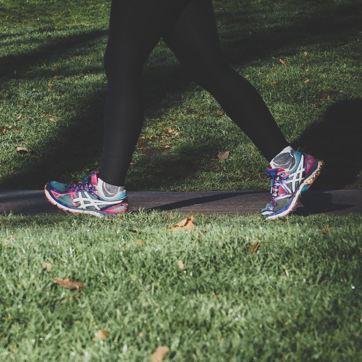 jackie-walking-header