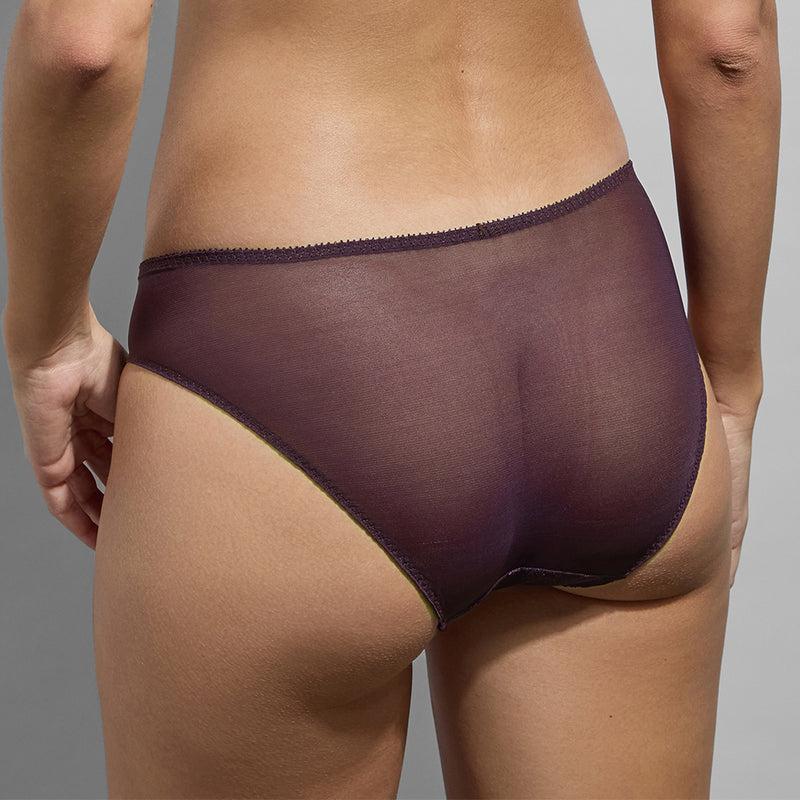 lace brief