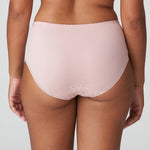 plus size briefs