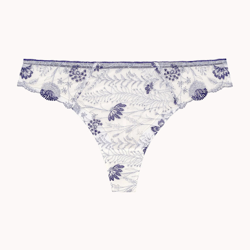 passionata chloe blue lace bra