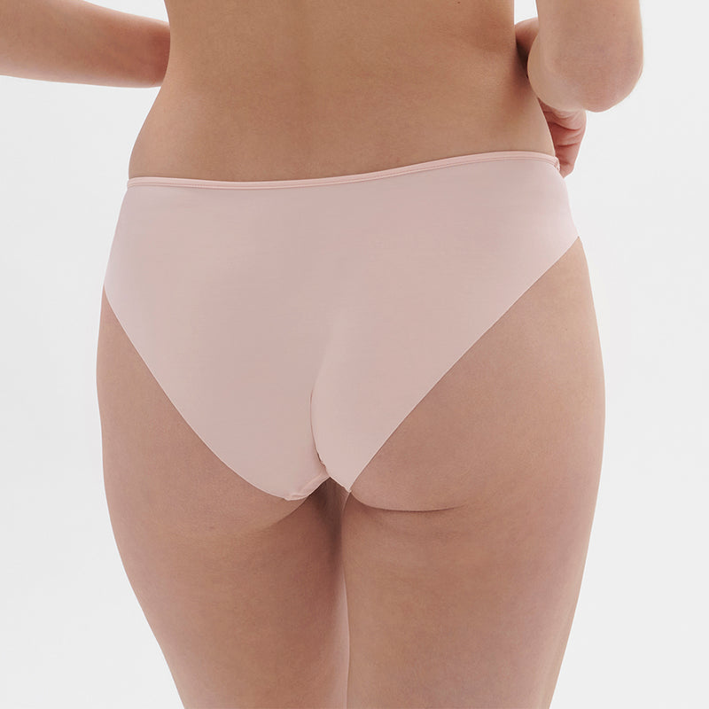 saga brief