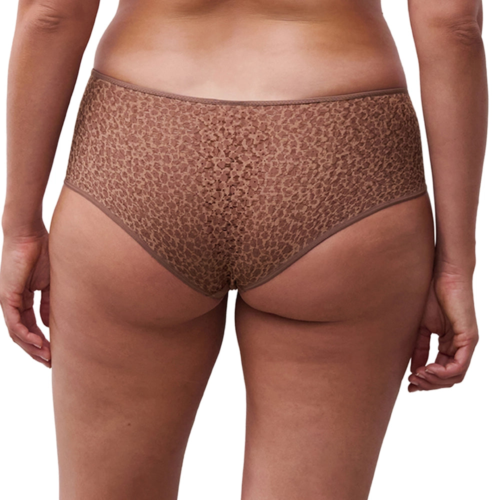 brown lace brief back