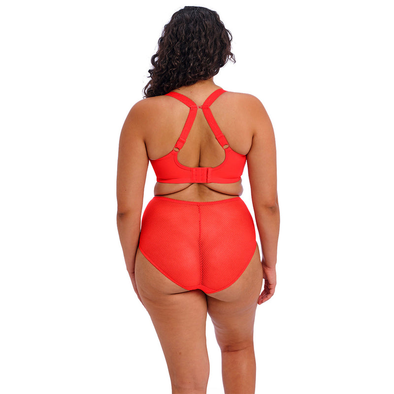 plus size bra