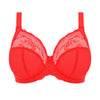 DD+ bra