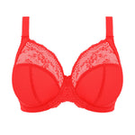 DD+ bra