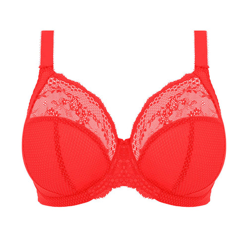 DD+ bra