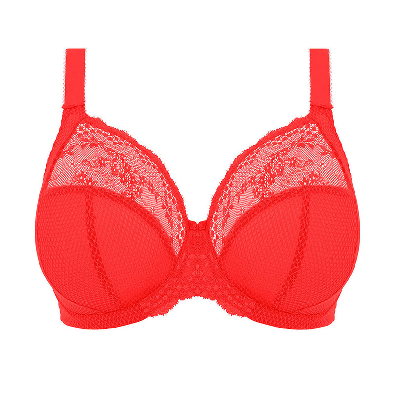 DD+ bra