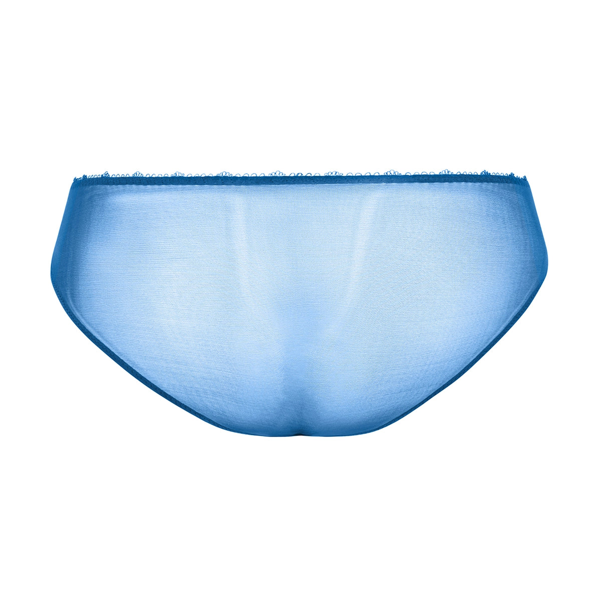 blue brief on a white background