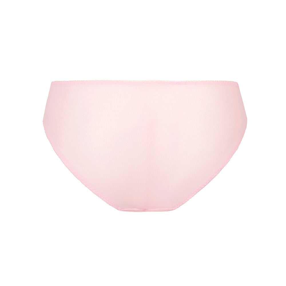 pink brief on a white background