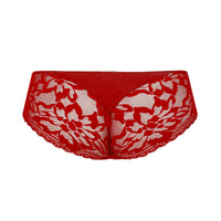 red lace underwear on a white background