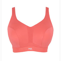 a coral pink sports bra with a V-neckline, wide shoulder straps, and a perforated center panel, shown against a plain white background. The brand name 'panache fitness' is printed in white on the lower center band.
