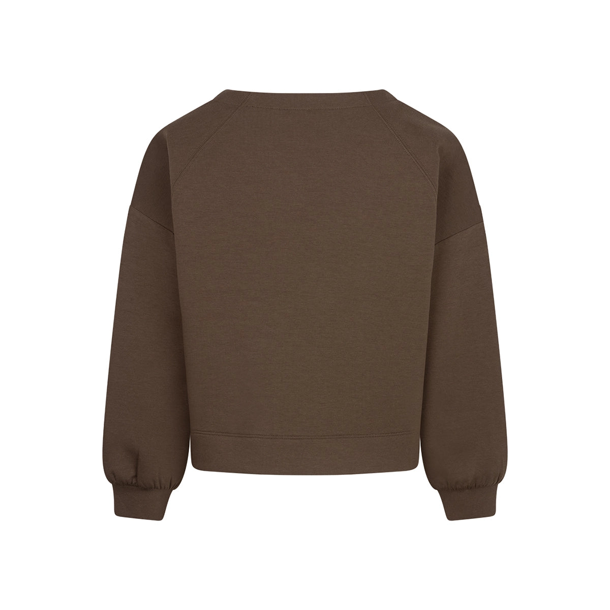 A dark brown sweatshirt with long raglan sleeves and ribbed cuffs, shown from the back on a plain white background.