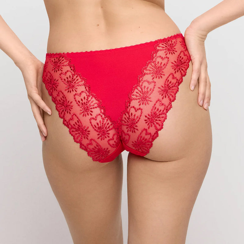 Jane True Red Italian Briefs