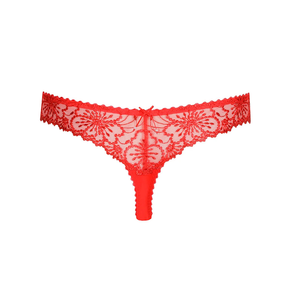 red lace thong back on a white background